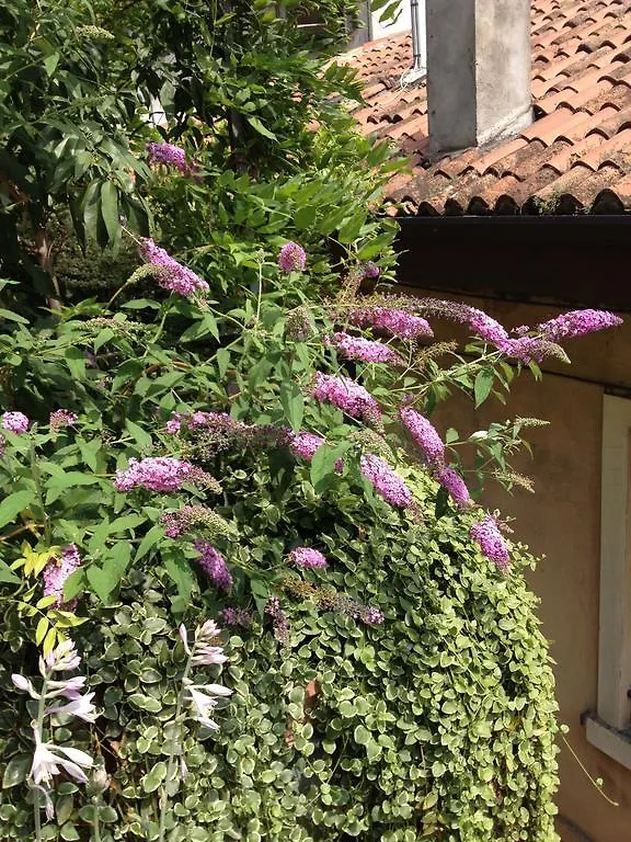 Residenza San Faustino Bed & Breakfast Verona